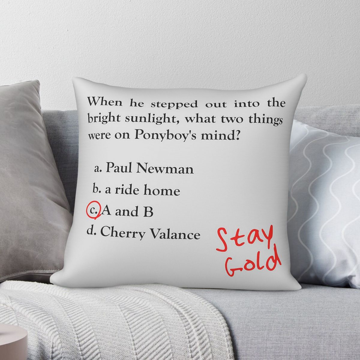 Outsiders Ponyboy Quiz Questio - Home Decor Quiz 评论和价格