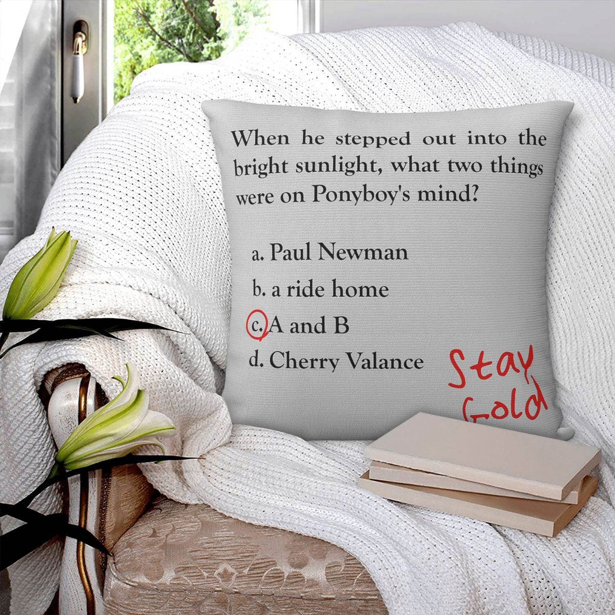 Outsiders Ponyboy Quiz Questio - Home Decor Quiz 评论和价格