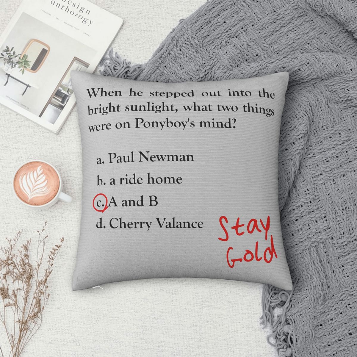 Outsiders Ponyboy Quiz Questio - Home Decor Quiz 评论和价格