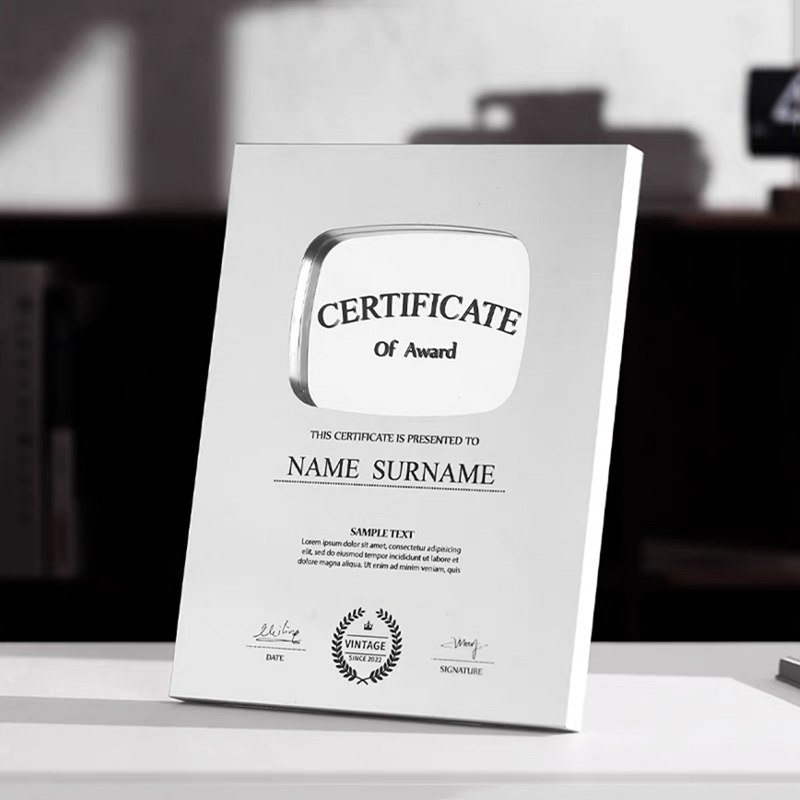 Custom Metal Trophy Corporate  - Home Decor Video 评论和价格